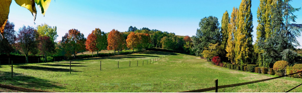 Autumn views of Domaine de Pessel meadow and trees